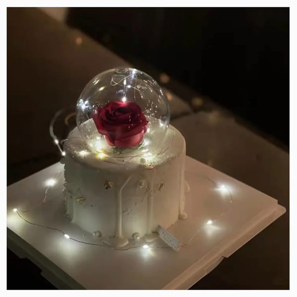 A white Studio Multisweet cake with a red rose in a clear dome, illuminated by fairy lights.